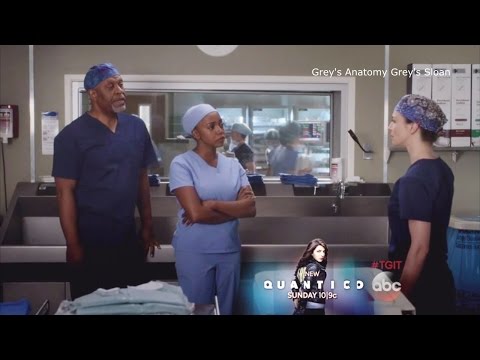 Grey's Anatomy cast members, Dr. Stephanie Edwards, Jerrika Hinton
