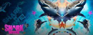 Shark Week
