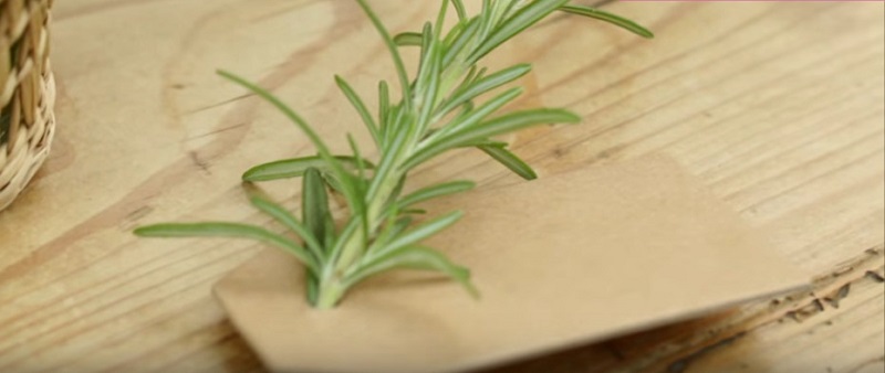 More Herbs, Less Salt rosemary