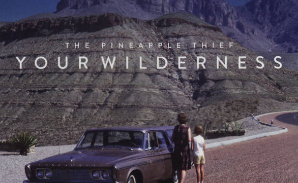 Pineapple Thief Your Wilderness