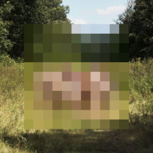 The Hotelier Goodness