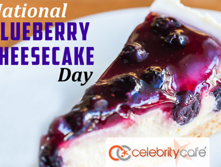 Blueberry Cheesecake Day