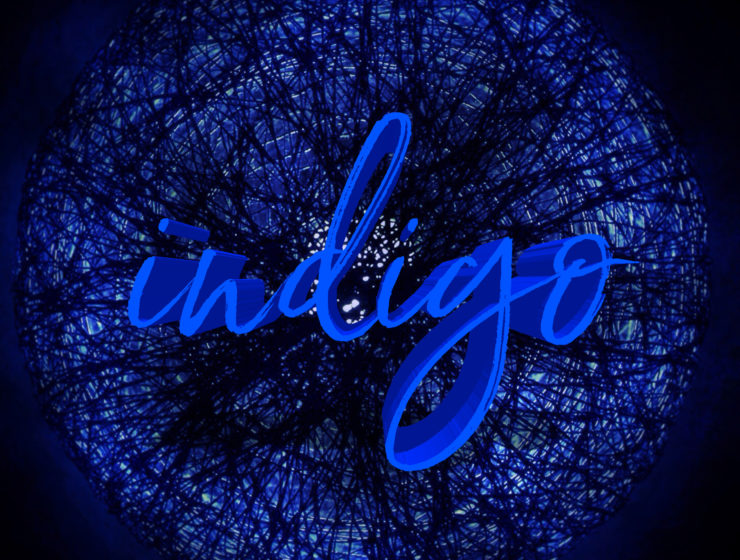 'Indigo' album cover: Temporary Hero