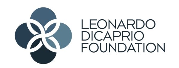 leonardo dicaprio