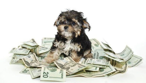 cash, contest, giveaway