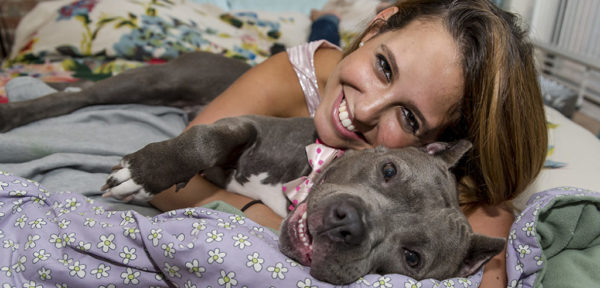 Pitbull, owner, adoption day, shelter, pets, animals