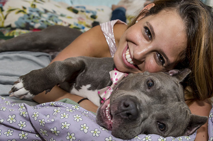 Pitbull, owner, adoption day, shelter, pets, animals