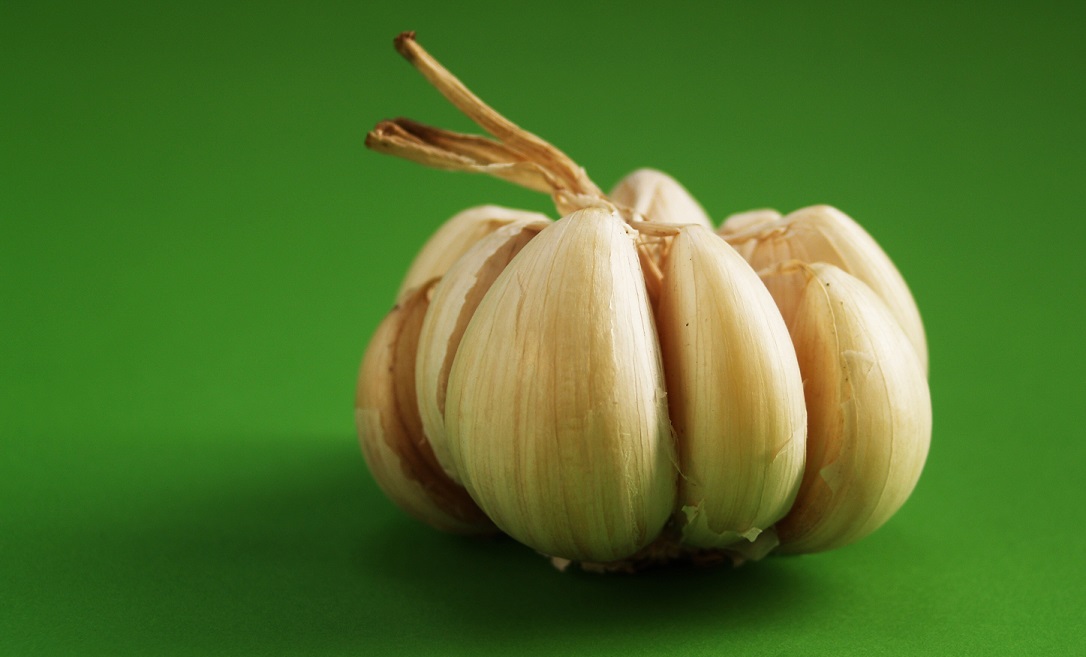 garlic, national garlic day, national garlic month
