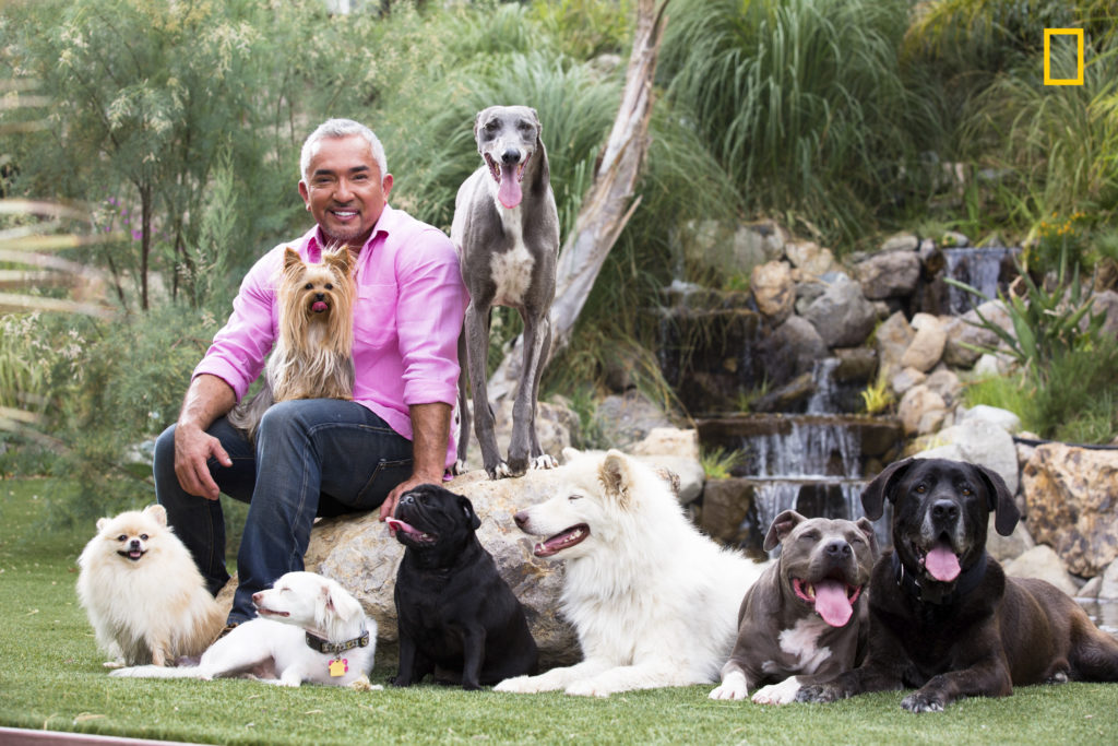 Cesar Millan